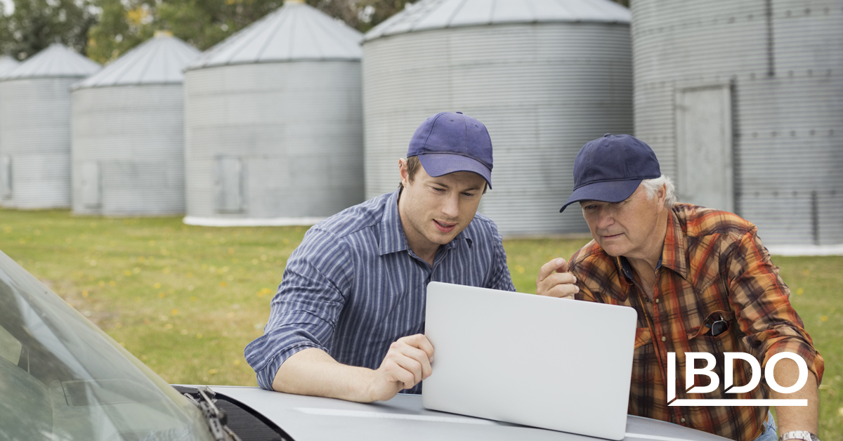 Understanding Farm Financial Statements Bdo Canada