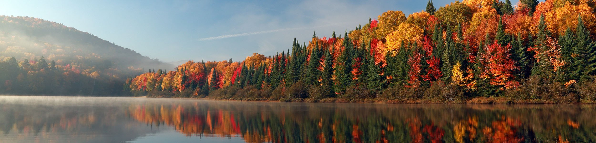 Paysage forestier en automne
