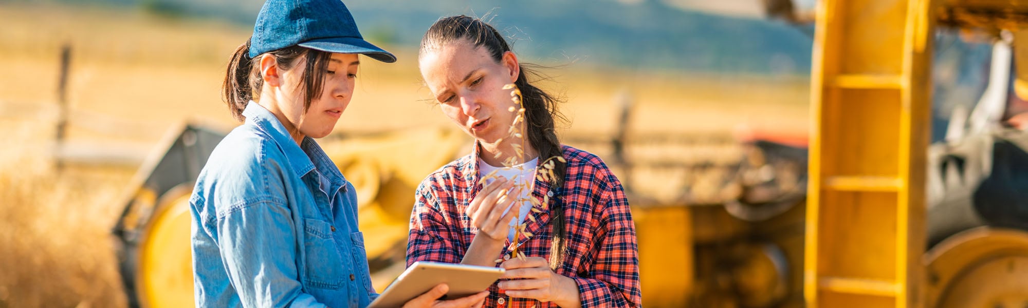 Two female farmers looking at a tablet in an agricultural field setting.