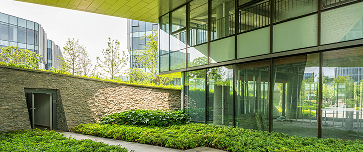 building with greenery