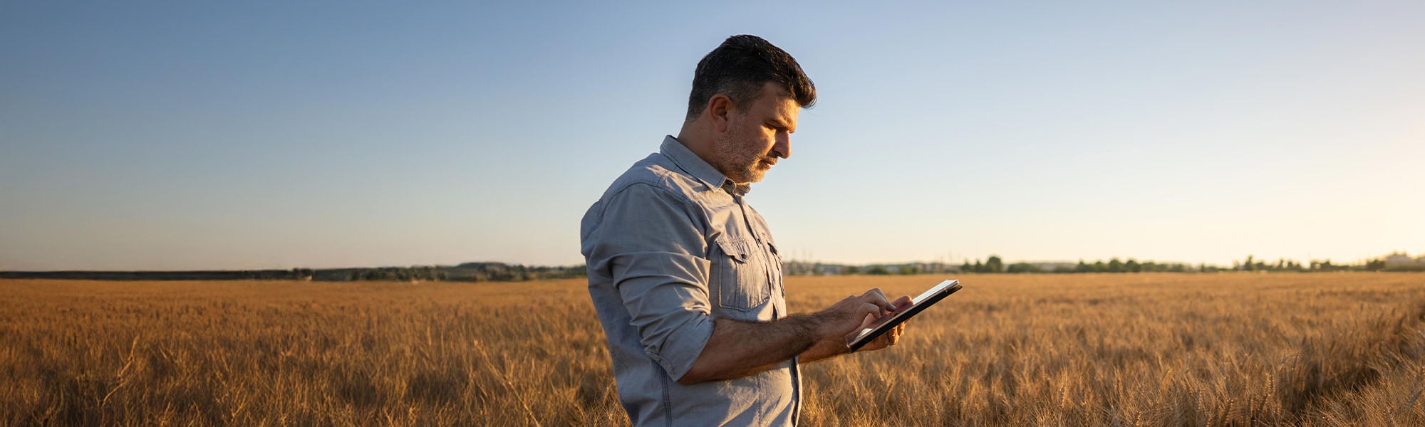 A farm owner stands in a field, utilizing a tablet for operational tasks.