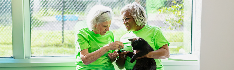 Two senior women wearing green t-shirts holding a black cat with a window behind them.