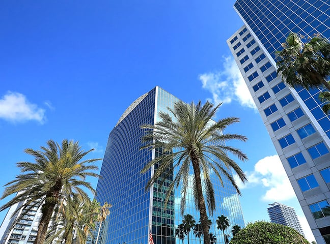 Looking up at modern buildings on a sunny day with a blue sky and tall palm trees.