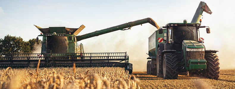 wheat harvest