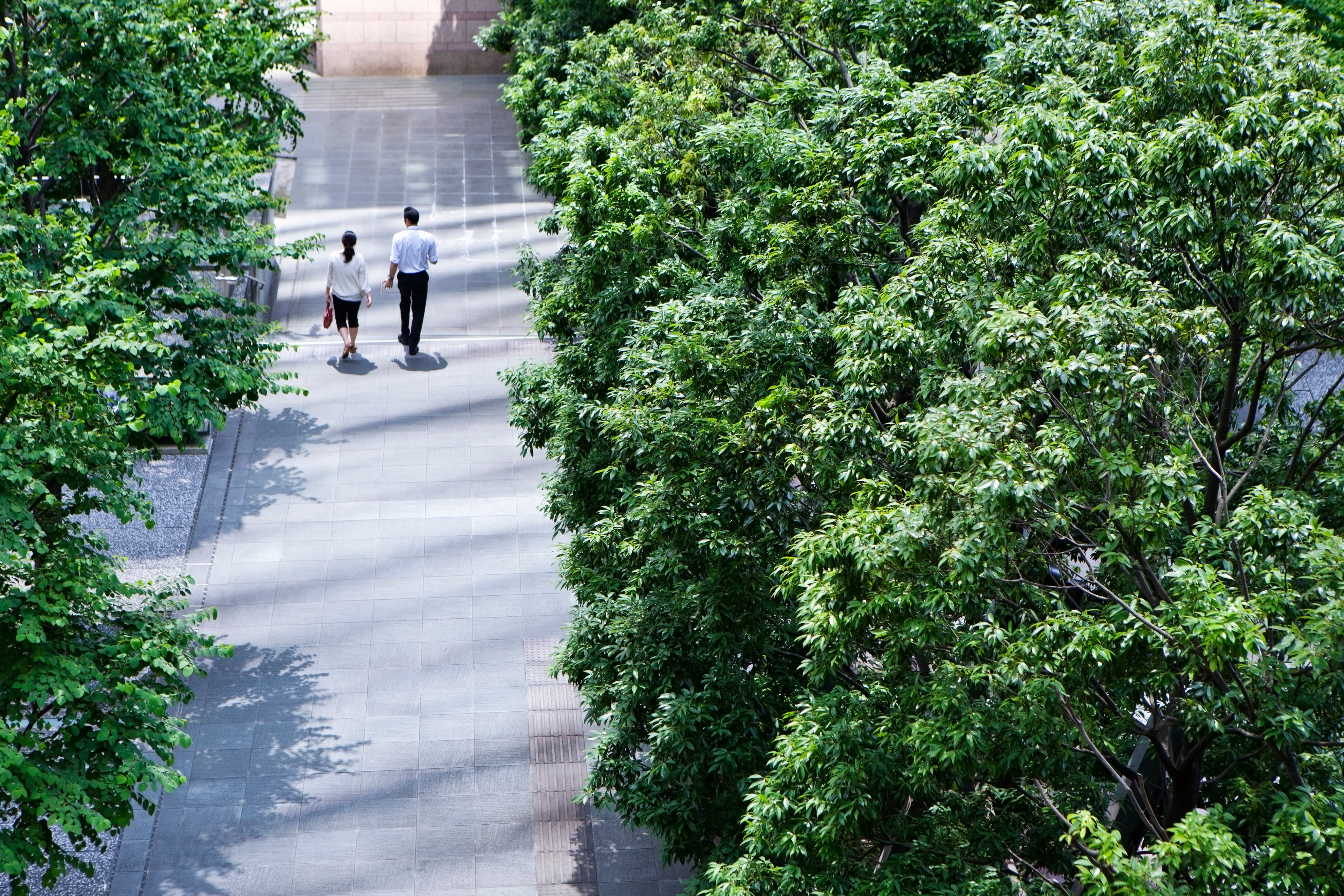 Two business professionals walking together on a walkway among trees.